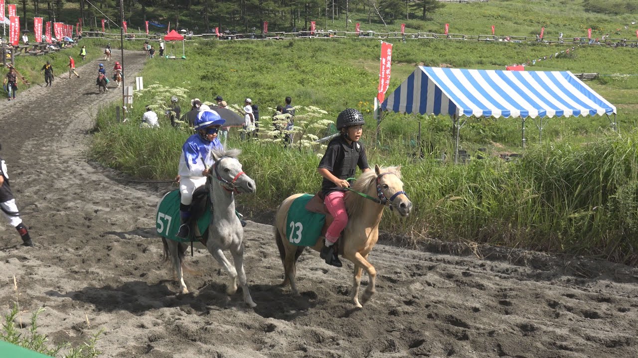 4k 可愛いポニーが走る 第63回高ボッチ観光草競馬大会 16 08 07 Youtube