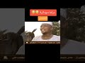 حكاية سودانية احلام فضيل الشاعر