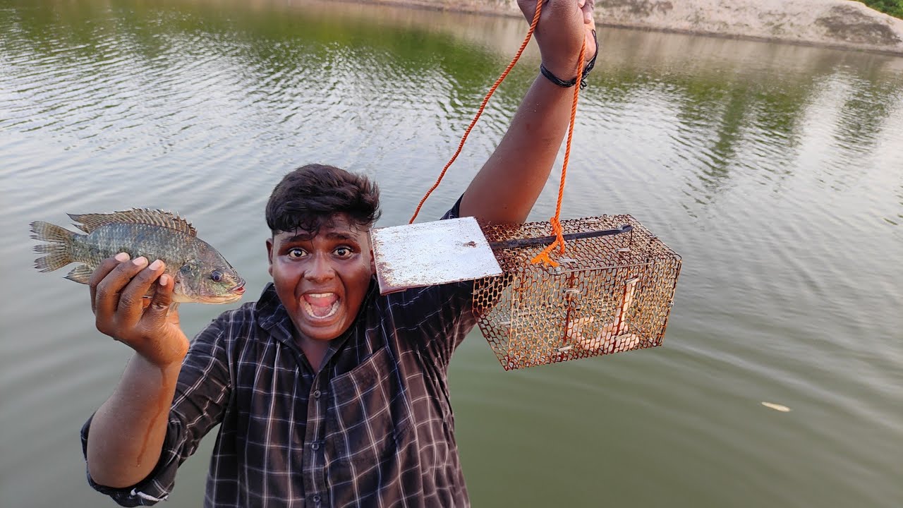 எலி கூண்டு வைத்து மீன் பிடிக்கலாம்|Fish Hunting With Rat Trap|Village Food Safari|Suppu