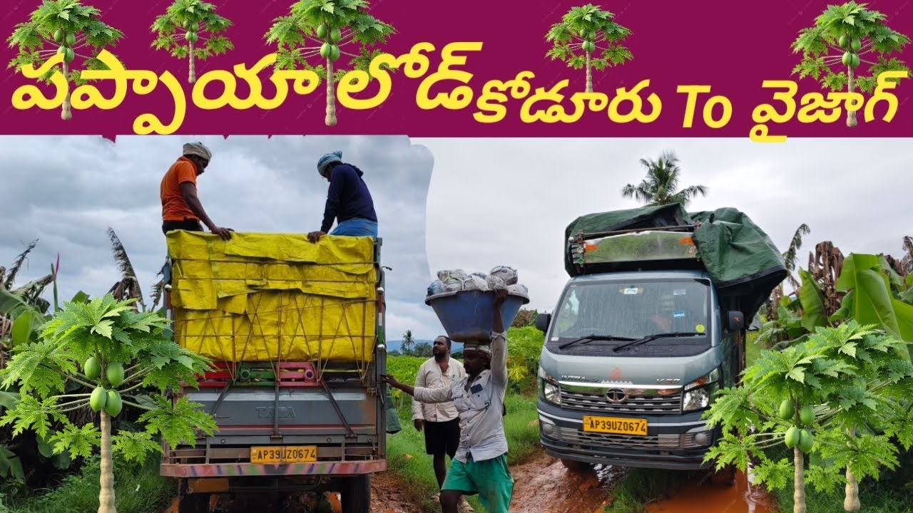 Puppaya Load || Kodur to Vizag || #thewildscreen #truck #tataintrav50