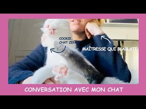 Conversation avec mon chat - Chat 28