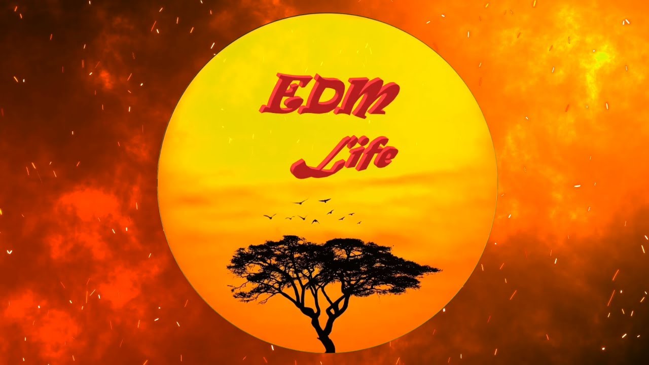 EDM Life Channel