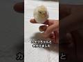 お前は悪い子に育つなよ