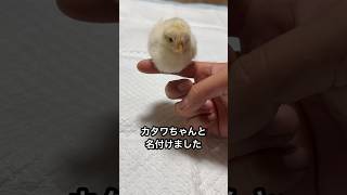 お前は悪い子に育つなよ
