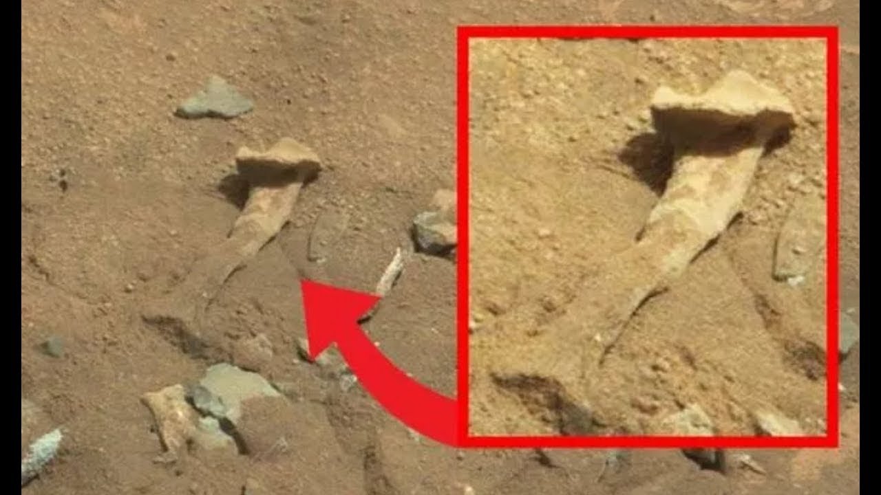Has The Perserverance Rover Found Life On Mars? (NASA Reveals) - YouTube