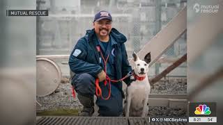 Celebrate #NationalRescueDogDay with a Story That Proves Rescue Works Both Ways