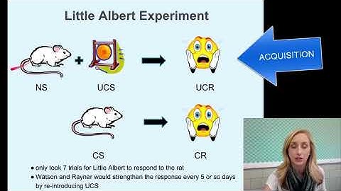Extending Classical Conditioning Flipped Notes Part One for AP Psychology by Mandy  Rice