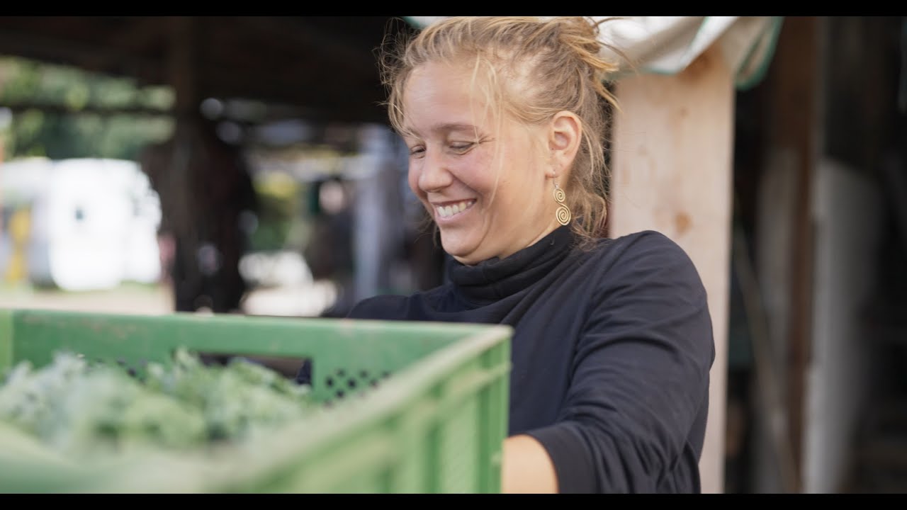 Wie wir die Gärtnerei Zipf als solidarische Landwirtschaft weiterführen