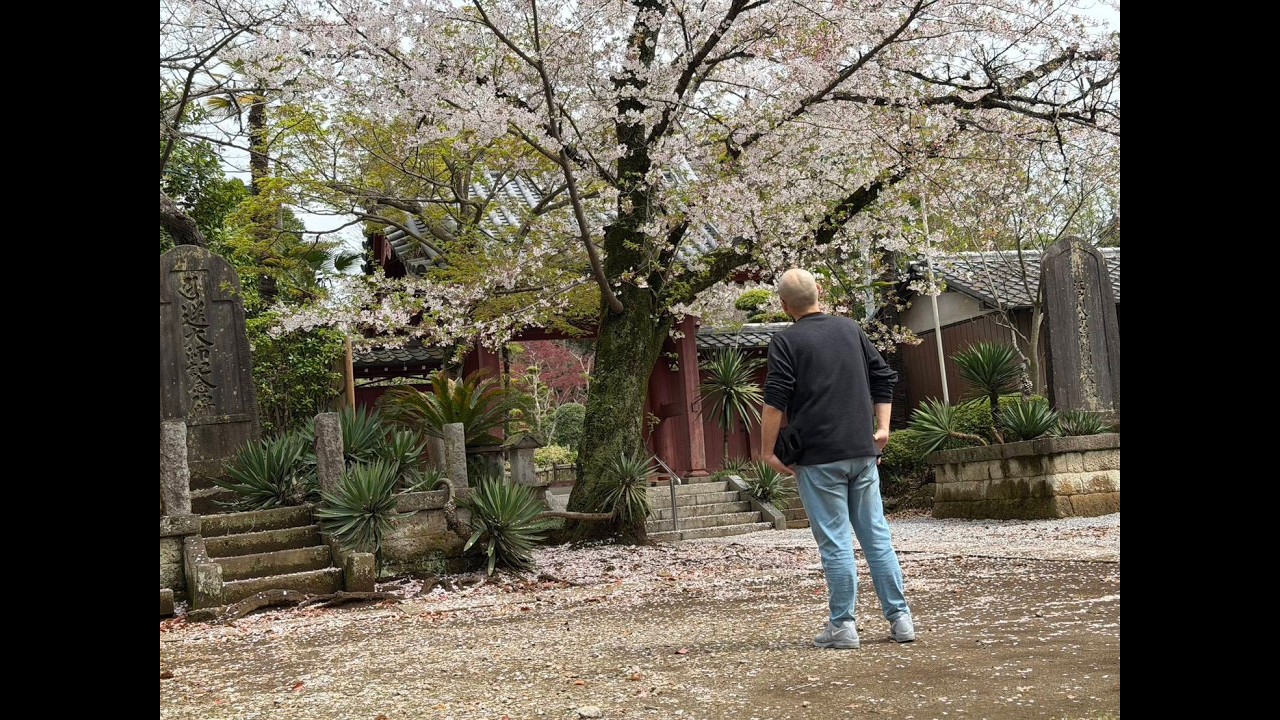 【コメント歓迎】サクラは散りそうだけど38歳の春はこれからだ！