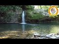 Deep Focus Music To Improve Your Concentration At The Time Of Study #studymusic #study