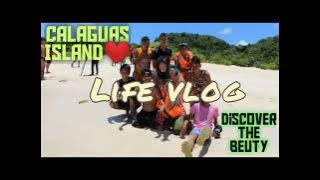 SAMPLE INTRO II REA TV II