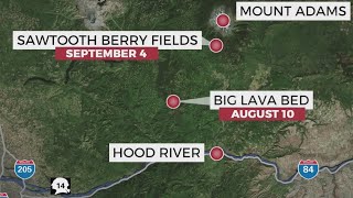 Two human skulls discovered in Gifford Pinchot National Forest within a month