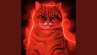 MONTAGEM MIAU - Vitreo
