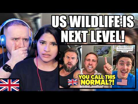 Couple From The UK Reacts to British Tourists Can't Believe This is "Normal" American Wildlife!
