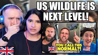 Couple From The UK Reacts to British Tourists Can't Believe This is "Normal" American Wildlife!