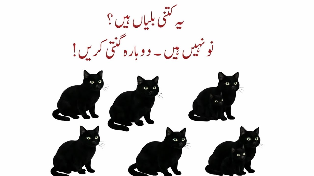 How many cats🐱 are there in this picture? Answer with your mind in the comment box.👍💯🥰