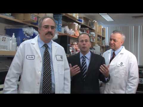 The promise & the power of stem cell research