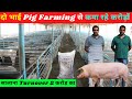 दो भाई Pig Farming से कैसे बने करोड़पति - Full information @@Indian Farming Technology