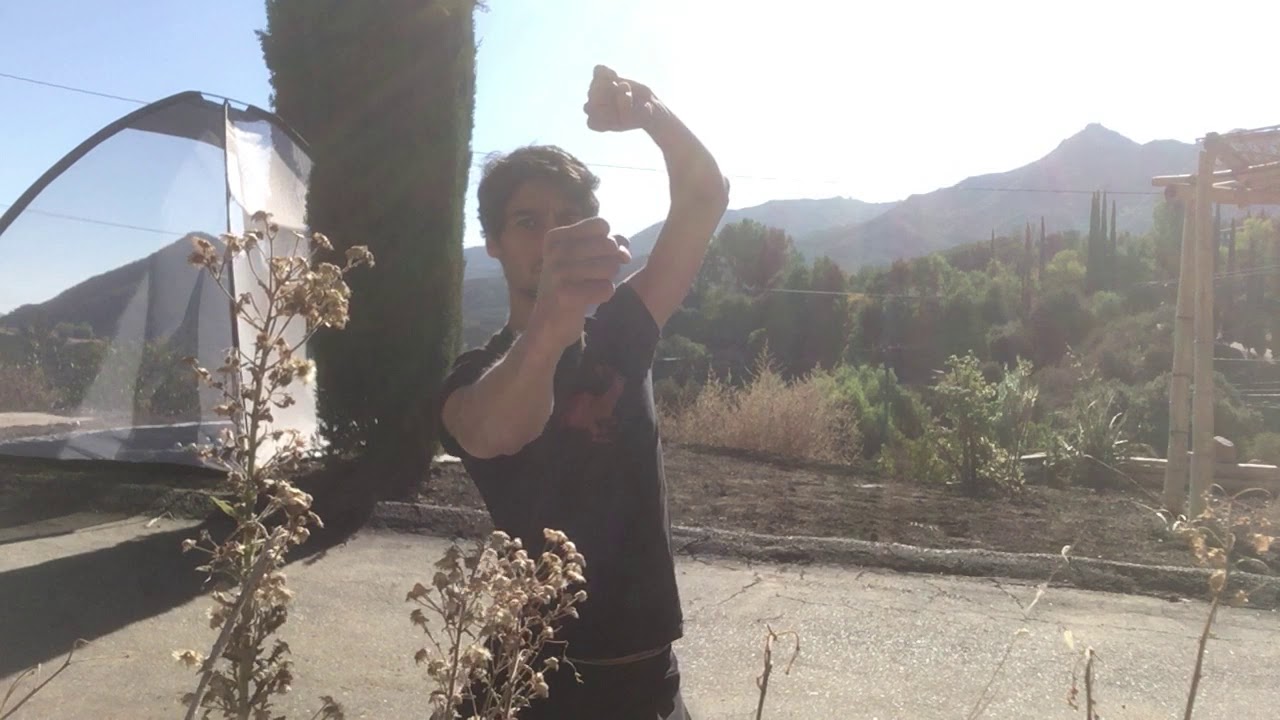 Xingyi 5 Element Fists | Pao Quan (Fire)