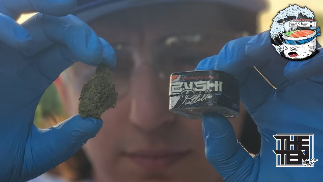 IS PIATELLA WORTH THE HYPE? | TEN CO BLUE ZUSHI  PIATELLA