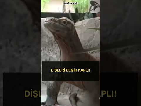 60 Saniyede Bilim