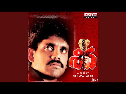 S.P.Balasubramanyam & S.P.Sailaja - Botany