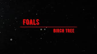 Foals - Birch Tree (Lyrics)