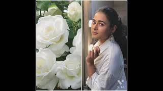 Rose Flowers Vs Shalini Pandey ??