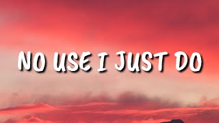 Hayley Williams - no use i just do (lyrics)
