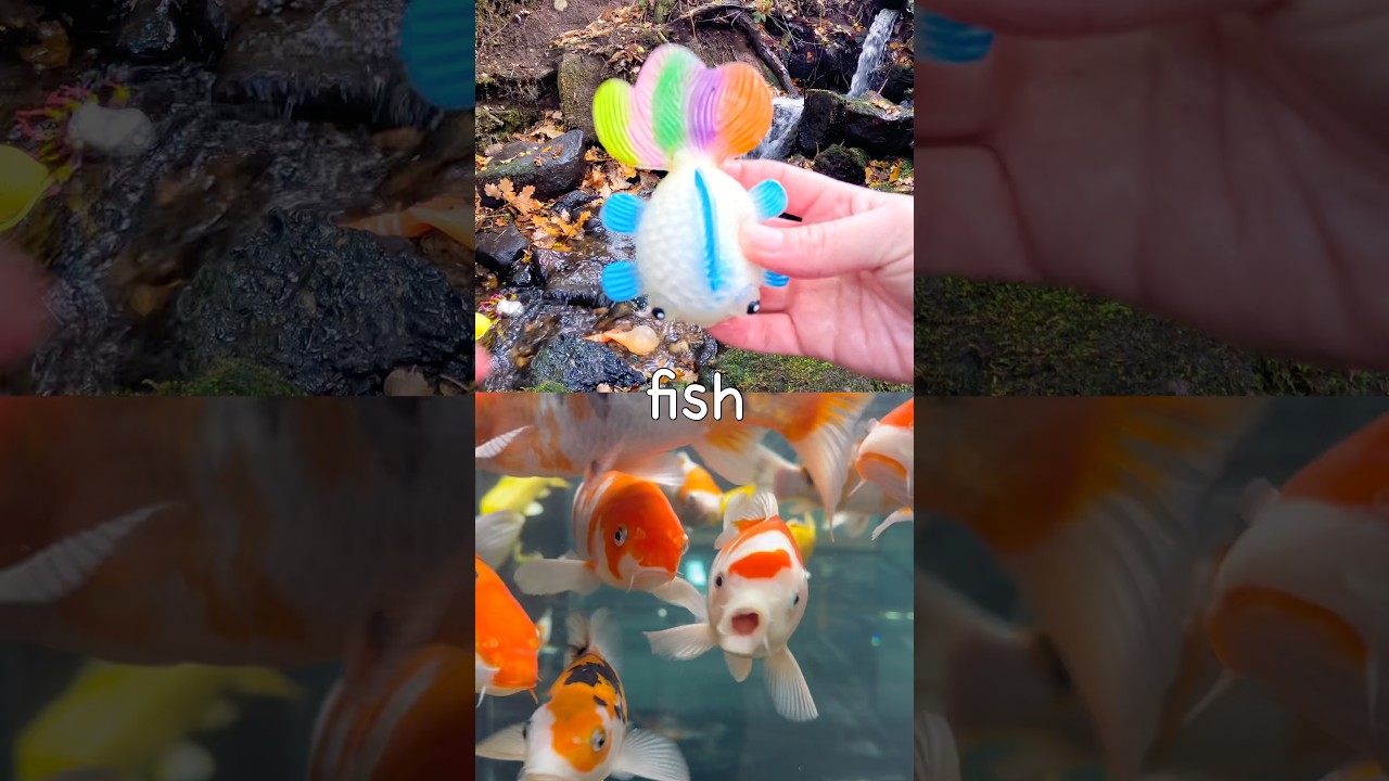 Дети узнают названия морских животных у водопада: китовая акула, рыба, косатка, кит, голубая акула.