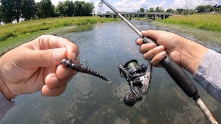 Eating Whatever I Catch.. (Catch and Cook) Creek Fishing and Wading!