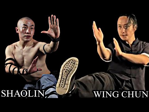 Wing Chun Vs Shaolin Kung Fu!