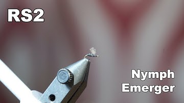 RS2, No Tail - Micro Nymph Tying - Emerger - McFly Angler Fly Tying Tutorials