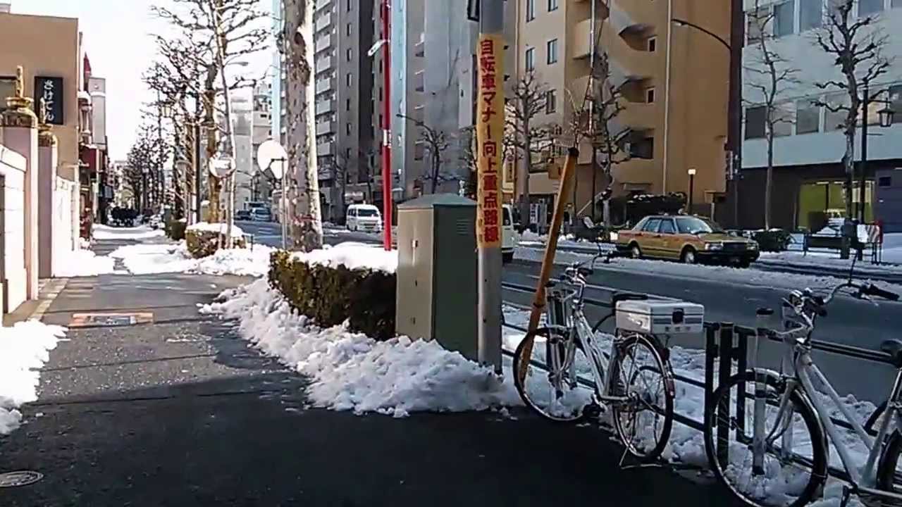Tokyo snow, Nakano-ku, 09 Feb 2014