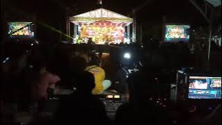 Opening live mahesa di jurang gandul kadipaten