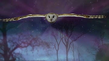 Pink Floyd   The Narrow Way part 1+2+3