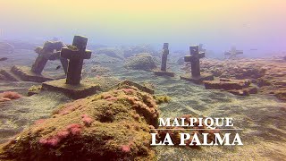 Tauchen auf La Palma  Tauchspot „Malpique“