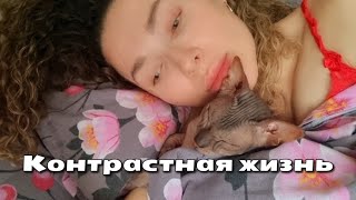 Я Из Донбасса(Торецк)Киев 01-02.01.24 Контрастная Жизнь😊😞/Киев- Громко/Торецк- Громко💥