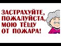 Застрахуйте, пожалуйста, мою тёщу от пожара! | Анекдоты о еврейских тёщах