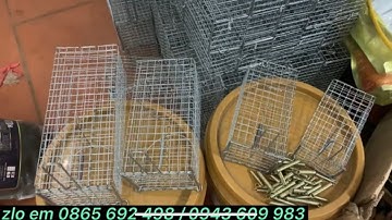 4 mẫu lồng bắt cống nhung,chuột đồng,sóc đất,soc bông,chi tiết về kích thước(báo giá)