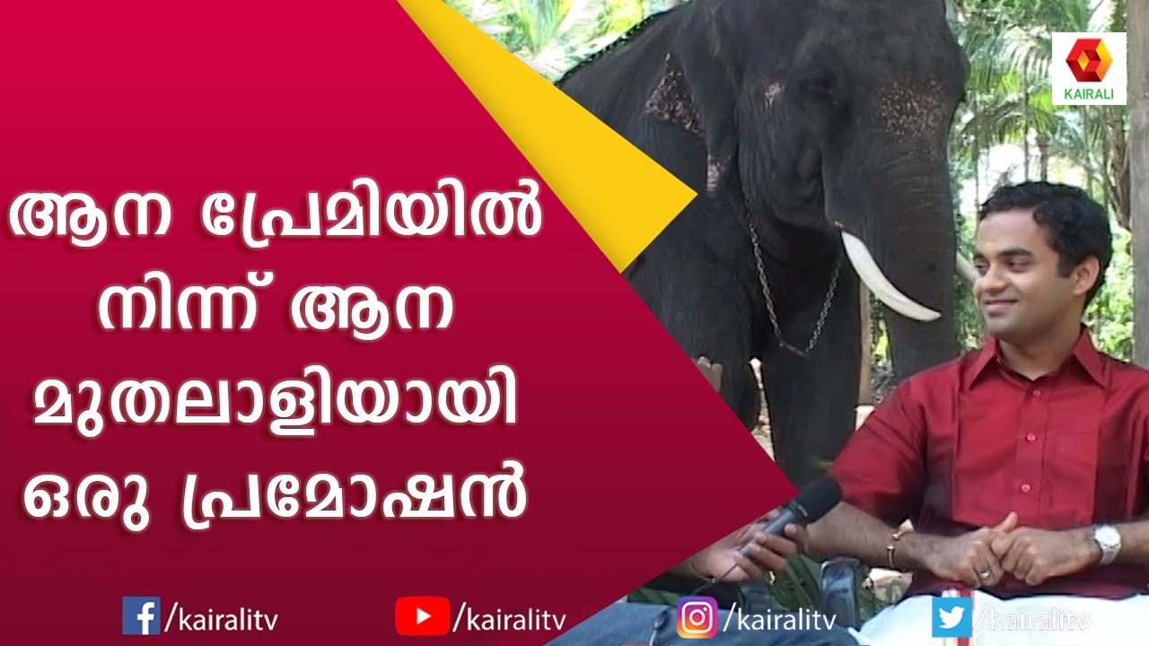 ആനയല്ല  ആന വാൽ പോലും സ്വപ്നം കാണാത്തവർ ആനമുതലാളിയായ കഥ | e4 elephant | Kairali TV