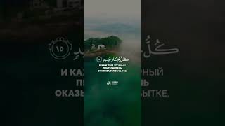 Сура "Ибрахим" (Авраам) аяты 14/15/16. Чтец: Мухаммад Тарик.