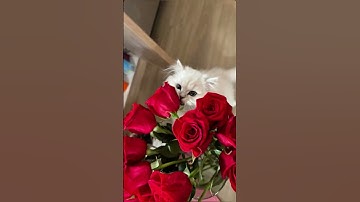 لاتنسو قراءه سوره الكهف نور🤍 مابين الجمعتين🤍