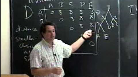 Lecture 28: Algorithms for Ultrametric trees - molecular clocks