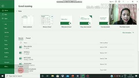chapter-4: Advanced features of MS Excel