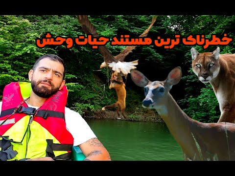 مستند جنگل رازهایی راجب مستند جنگل که تا به حال نشنیده ای
