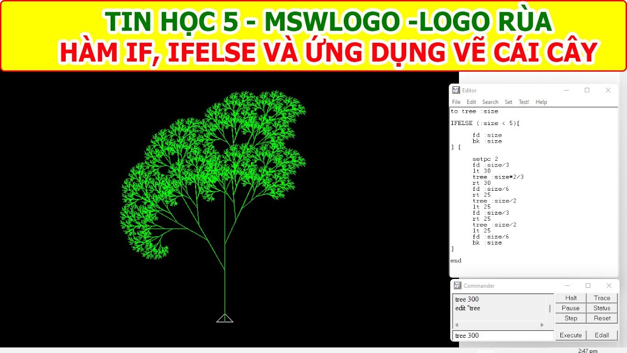 Tin học lớp 5 MSW Logo rùa | Vẽ cái cây - sử dụng hàm If và Ifelse - youtube