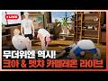 무더위엔 역시!☀️ 크아🫧 & 멧챠 카멜레온🔫 라이브💙💜🩷❤️🖤 | #플레이브 PLAVE | PLAVE Live Full Ver.