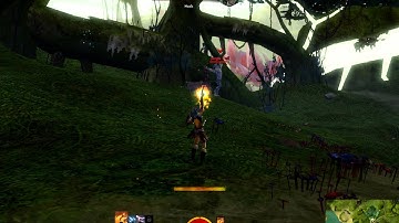 Guild Wars 2 Pre-Release Graphical Glitches