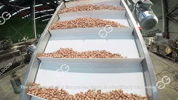 Automatic Peanut Butter Production Line Video 2021 from Cara@machinehall.com